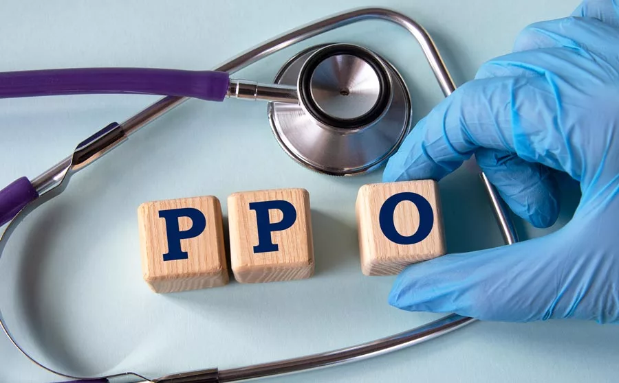 PPO - Preferred Provider Organization