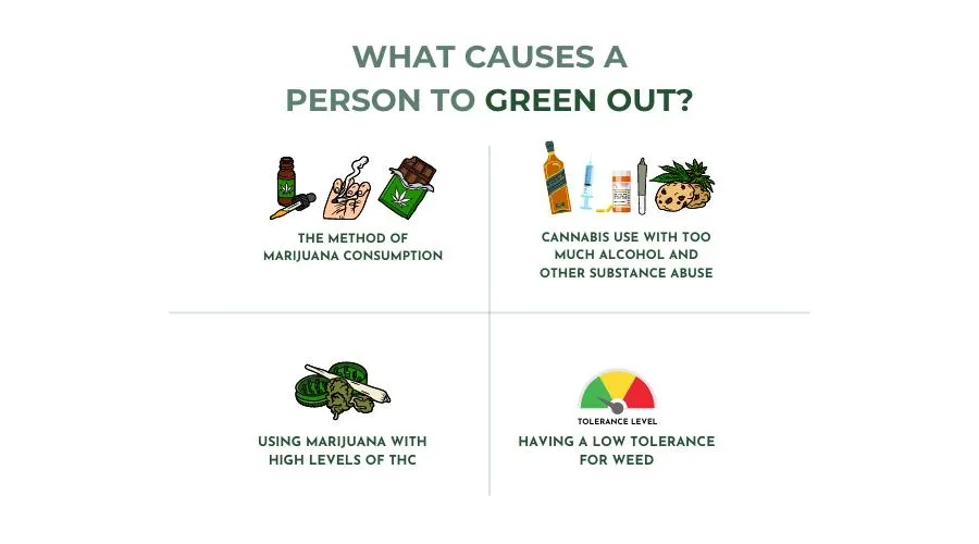 Causes of greening out infographic from Catalina Behavioral Health