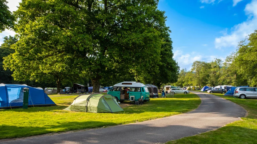 Boneyard Vista Camping