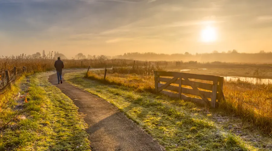 Take a Long Walk