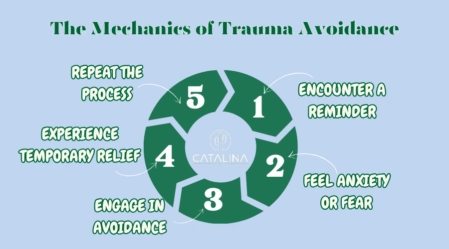 The Mechanics of Trauma Avoidance - Catalina Behavioral Health